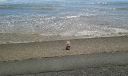 20160523_104019.jpg