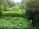 20160522_122042.jpg