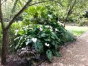 20160522_122145.jpg