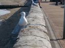 20160526_171155.jpg