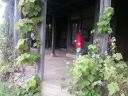 20160626_123852.jpg