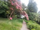 20160626_124117.jpg