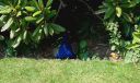20160606_130922.jpg