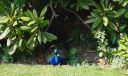 20160606_130927.jpg