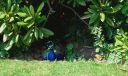 20160606_130930.jpg