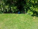 20160606_131615.jpg