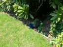 20160606_131622.jpg