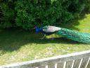 20160606_133149.jpg