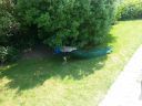 20160606_133157.jpg