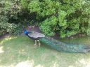 20160606_133204.jpg