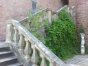 20160606_144442.jpg