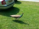 20160606_145534.jpg