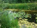 20160711_154813.jpg