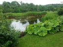 20160711_154904.jpg