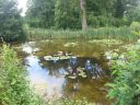20160711_154911.jpg