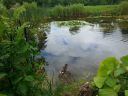 20160711_154919.jpg