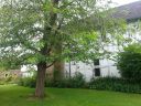 20160711_154936.jpg