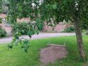 20160711_155125.jpg