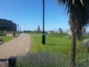 20160718_144909.jpg
