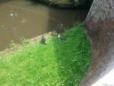 20160723_140512.jpg