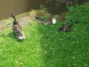 20160723_140524.jpg