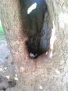 20160815_142938.jpg