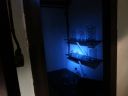 20160927_131228.jpg