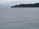 20160927_160958.jpg