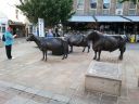 20160930_102444.jpg