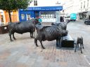 20160930_102531.jpg