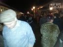 20161119_210523.jpg