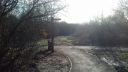 20170204_104237.jpg