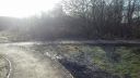 20170204_104241.jpg