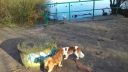 20170204_104616.jpg