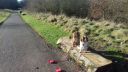 20170204_110532.jpg