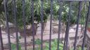 20170418_095156.jpg