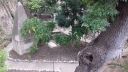 20170418_095217.jpg