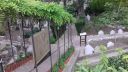 20170418_095236.jpg