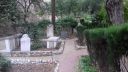 20170418_100906.jpg
