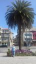 20170415_102714.jpg