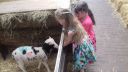 20170527_134043.jpg