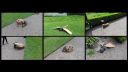 20170521_131117.jpg