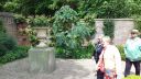 20170521_131619.jpg