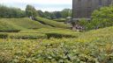 20170829_131113.jpg