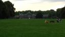 20170829_143945.jpg