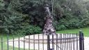 20170829_144303.jpg
