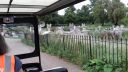 20170829_144509.jpg