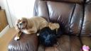 20171210_100514.jpg