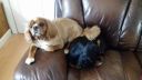 20171210_100530.jpg