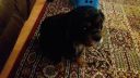 20171210_114621.jpg
